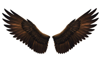 Obraz premium Golden Wings Illustration On Black Background Isolated Transparent PNG