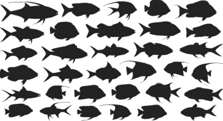 Diverse Fish Silhouettes On Transparent Background An Isolated Illustration