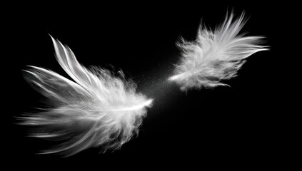Two white feathers against a black background