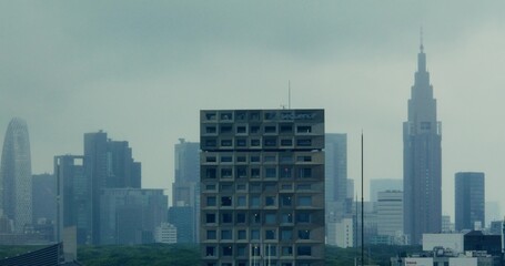 Fototapeta premium View of Tokyo's skyscrapers on a cloudy day. View from the roof of the house