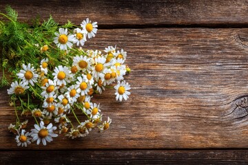 Obraz premium Summer Herbal plant assortment Daisies against wood backdrop