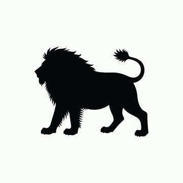 Angry Lion Face - Wild Animal Expression Art