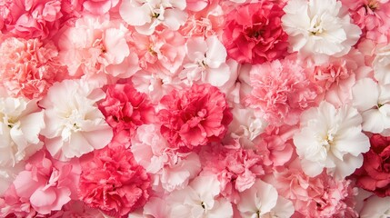 Related searches romantic woman idea blank concept light isolated summertime birthday background 