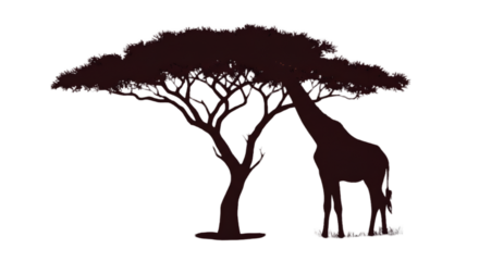Giraffe Silhouette Under Tree Isolated On Black Background Illustration