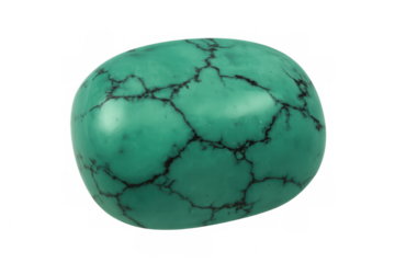 Polished turquoise gemstone displaying vibrant green hue, intricate black veining against transparent background, highlighting natural mineral beauty