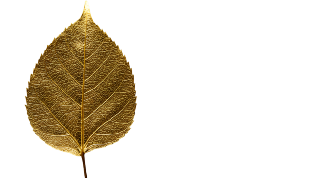 Golden Leaf Illustration With Transparent Background On Black Background