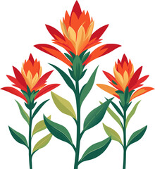 Indian Paintbrush flowers