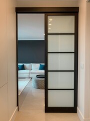 Modern interior sliding barn door frosted glass room divider