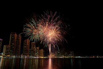 Fototapeta premium Fireworks exploding above city skyline at night 