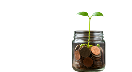 Growth Illustration Of Money Plant in Glass Jar with Black Background