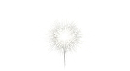 White Sparkle Firework Explosion