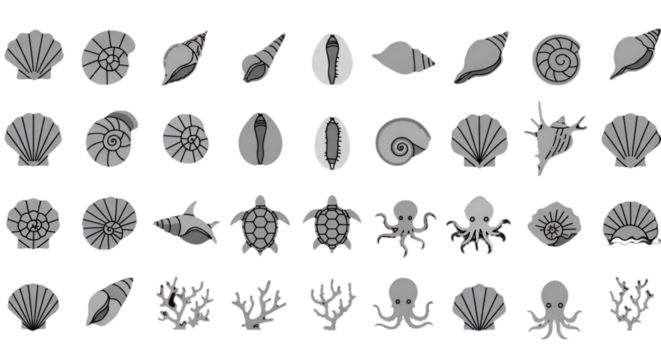 Illustration Of Various Seashells And Marine Animals On A Transparent Background