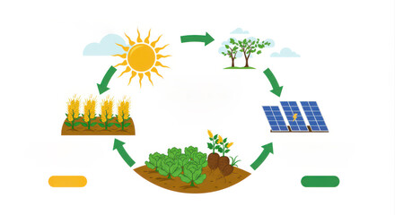 Sustainable farming and solar energy cycle diagram
