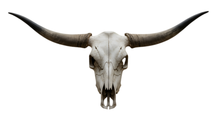 Isolated Animal Skull Illustration with Horns on Transparent Background
