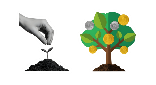 Planting the Seeds of Prosperity: Nurturing Growth with Financial Investments and Savings