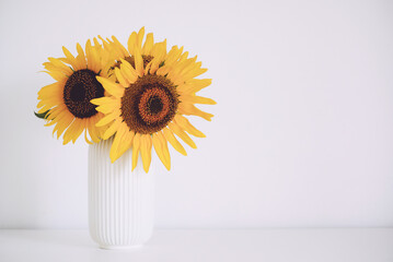 Beautiful bouquet of sunflowers in full bloom in vase against white background. Selective focus. Copy space for text.