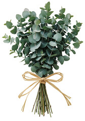 Isolated Eucalyptus Bouquet Illustration On Transparent Background
