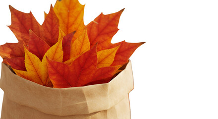 Isolated Autumn Leaves In Brown Paper Bag On Transparent Background Photo