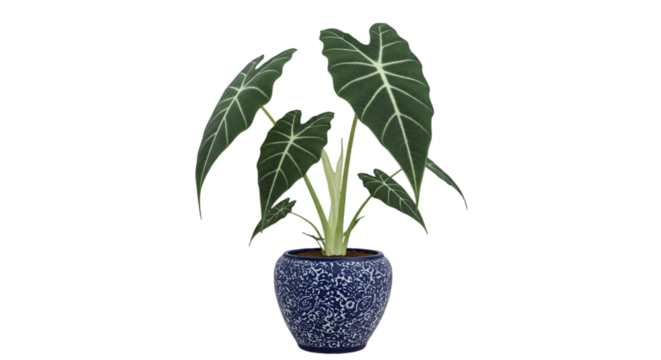 Isolated 3D Illustration of a Decorative Plant in a Blue Floral Pot with Green Leaves on a Transparent Background