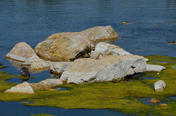 река и камни