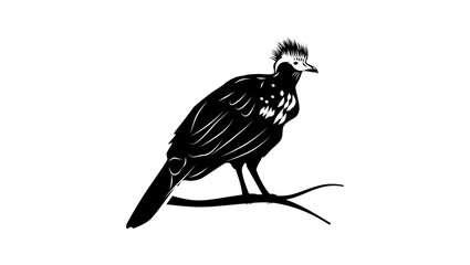 Trinidad Piping-Guan bird, black isolated silhouette