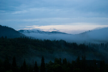 Peaceful nature scene with evening fog and cool colors