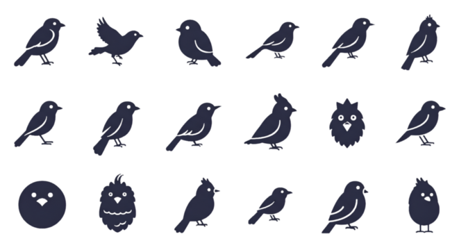 Isolated Bird Silhouettes Illustration Over Black Transparent Background