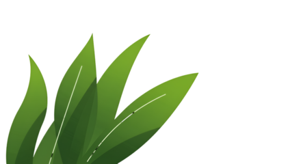 Isolated Green Leaf Illustration On Transparent Background Art Design