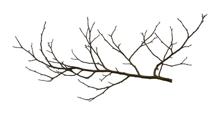 Isolated Branch Illustration on Black Background Pixelated with Brown Tones