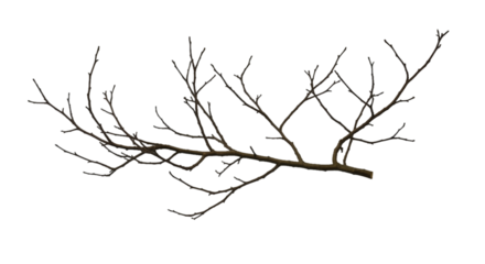 Isolated Branch Illustration on Black Background Pixelated with Brown Tones