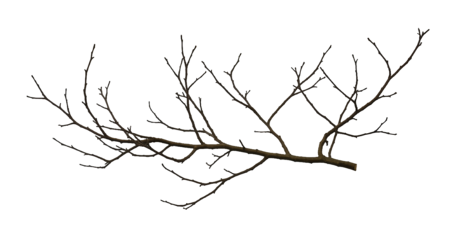 Isolated Branch Illustration on Black Background Pixelated with Brown Tones