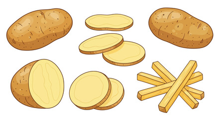 Vector art of a collection of whole, sliced, and french fry cut potatoes
