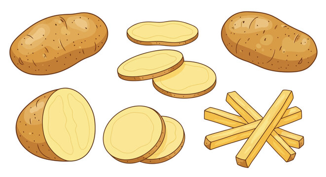 Vector art of a collection of whole, sliced, and french fry cut potatoes