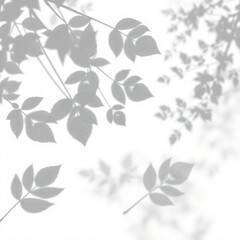 shadow overlay effect. Gray shadow of leaves isolated on white background. 
Plant foliage leaf shadow light effect. Mockup Blurred tree branch shadow. Ideal for summer spring design elements PNG