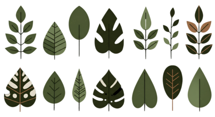 Isolated Leaves Illustration Green Plant Silhouette on Transparent Background