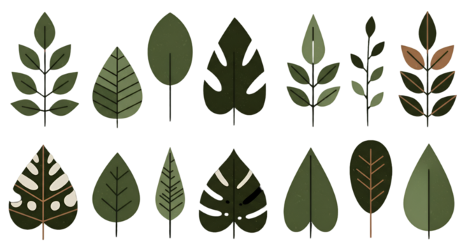 Isolated Leaves Illustration Green Plant Silhouette on Transparent Background
