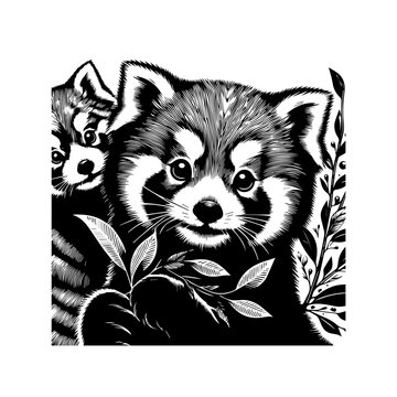 Adorable Red Pandas with Lush Greenery in Stylized Black and White Illustration.