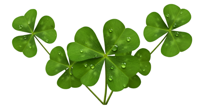 Isolated Green Clover Leaves Illustration With Transparent Background - Powered by Adobe