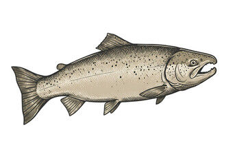 Fototapeta premium Isolated Illustration Of A Fish With Gray Scales And Black Background