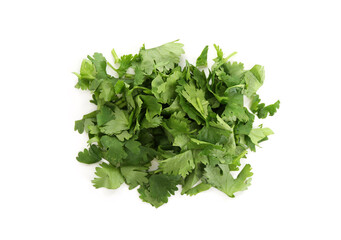 Leaves of fresh cilantro isolated on white, top view