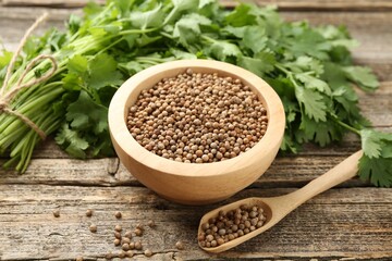 Fresh cilantro and coriander seeds on wooden table, closeup