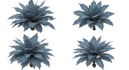 Isolated Digital Render of Blue Palm Trees on a Transparent Background