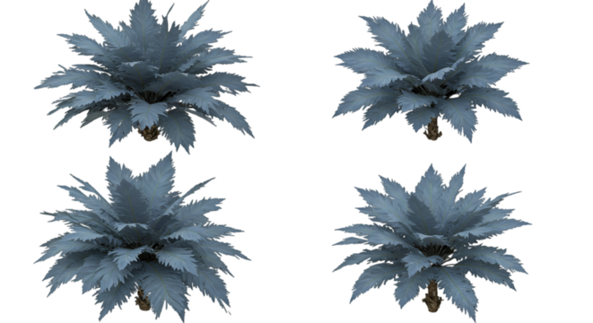 Isolated Digital Render of Blue Palm Trees on a Transparent Background