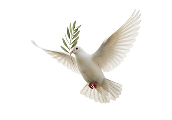 Obraz premium Isolated Illustration Of A White Dove With Olive Branch Flying In Peace