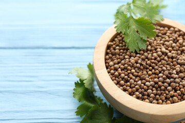 Coriander seeds in bowl and fresh cilantro leaves on light blue wooden table, closeup. Space for text