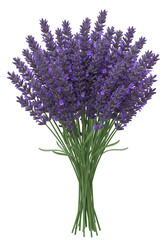 Isolated Lavender Floral Bouquet On Transparent Background Purple Bloom
