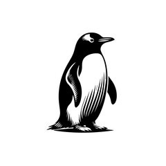 Stylized Black and White Penguin Standing Proudly with Detailed Feathers.