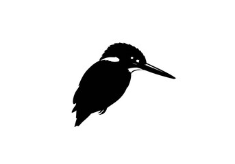 Fototapeta premium A silhouette of a kingfisher bird perched against a stark white background image view