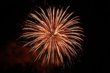 Obraz premium Bright orange fireworks bursting in the night sky
