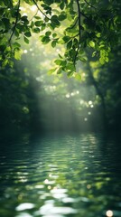Naklejka premium Sunlight Streaming Through Leaves Reflecting on Water